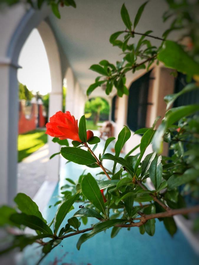 Casa Del Vigneto - New Near Venice - Rooms+Bathroom - Independent สปิเนอา ภายนอก รูปภาพ