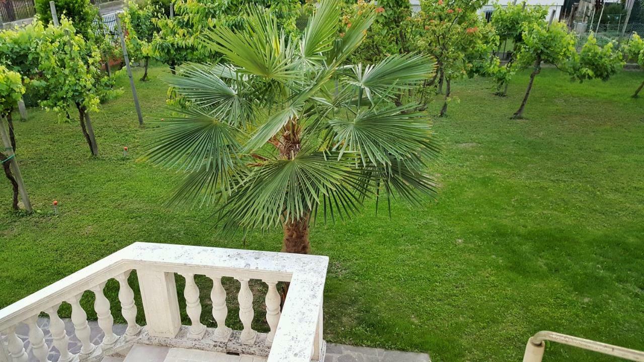 Casa Del Vigneto - New Near Venice - Rooms+Bathroom - Independent สปิเนอา ภายนอก รูปภาพ